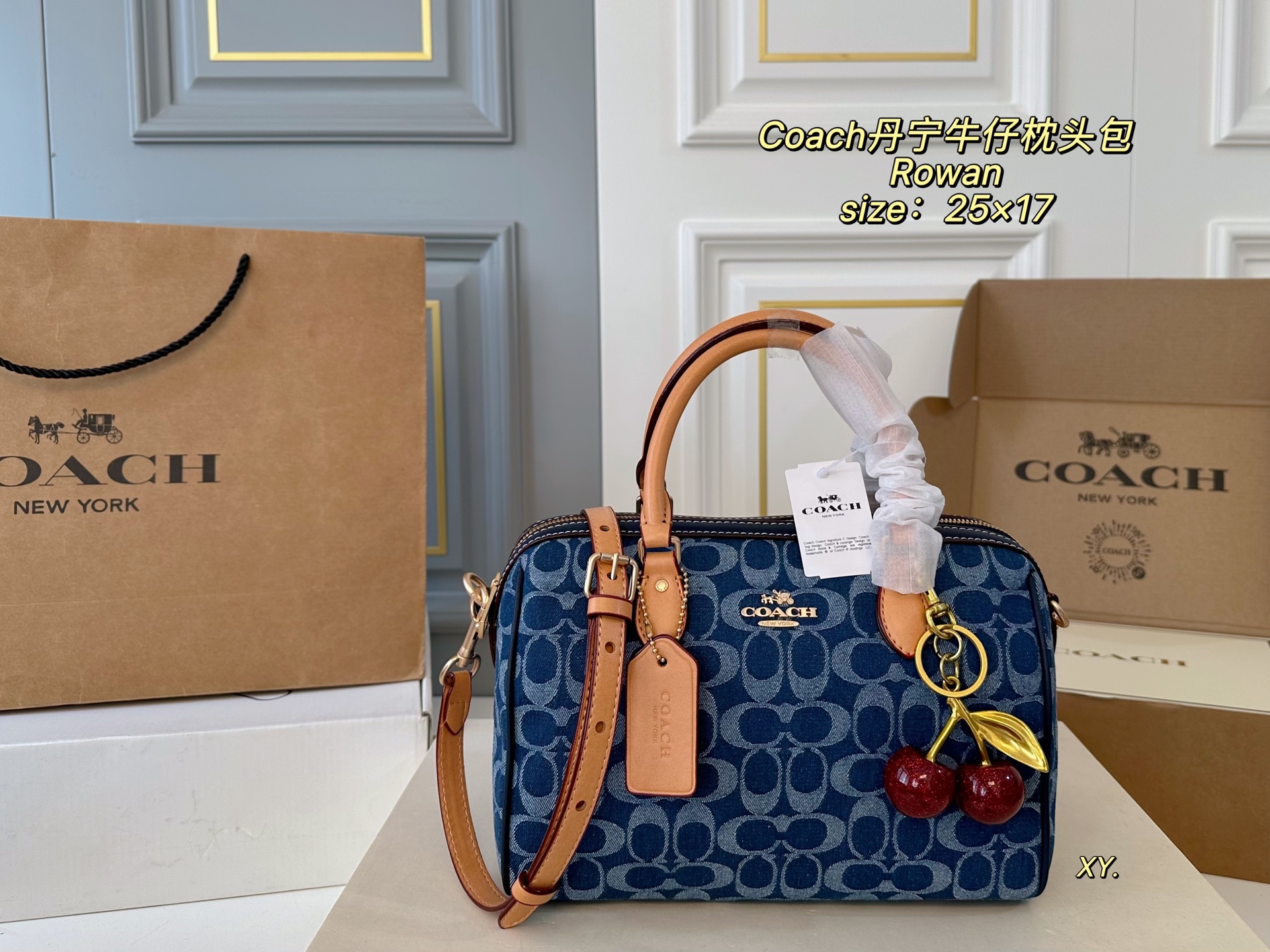 coach bag 204